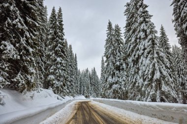 Kışın boş bir dağ yolu olan manzara