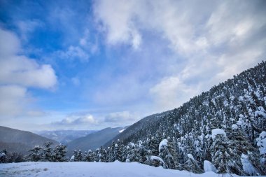Romanya 'nın Karpatya dağlarında kışın güzel dağ manzarası