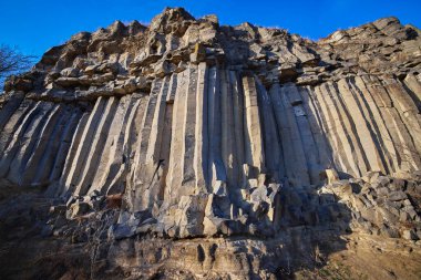 Romanya 'nın Brasov kentindeki Racos kasabasından bazalt sütunlar