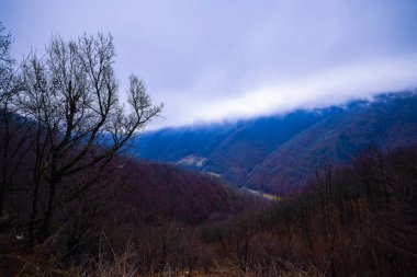 Romanya 'da sis ve bulut vadisi manzarası