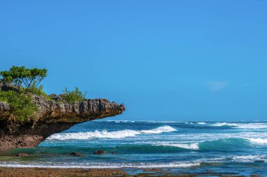 Endonezya, Bali 'deki güzel tropikal kıyı manzarası.