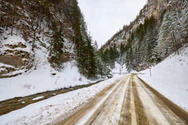 Zarnesti Boğazı 'ndaki kış manzarası (Zarnesti' nin Hassasiyeti), Romen Karpatlar