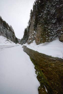 Zarnesti Boğazı 'ndaki kış manzarası (Zarnesti' nin Hassasiyeti), Romen Karpatlar