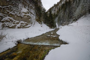 Zarnesti Boğazı 'ndaki kış manzarası (Zarnesti' nin Hassasiyeti), Romen Karpatlar