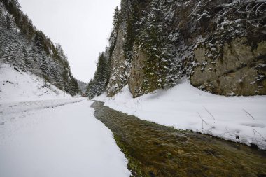 Zarnesti Boğazı 'ndaki kış manzarası (Zarnesti' nin Hassasiyeti), Romen Karpatlar