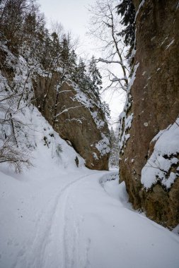 Zarnesti Boğazı 'ndaki kış manzarası (Zarnesti' nin Hassasiyeti), Romen Karpatlar