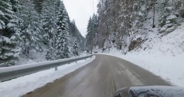 Ego Blick Auf Ein Auto Das Winter Durch Die Schlucht — Stockvideo