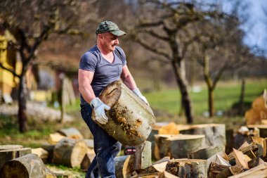 Güçlü adam büyük kayın kütüklerini taşıyor.
