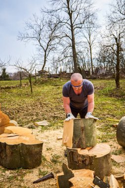 Güçlü adam büyük kayın kütüklerini taşıyor.