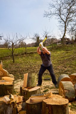 Kayın kütüklerini baltayla parçalayan güçlü bir adam.