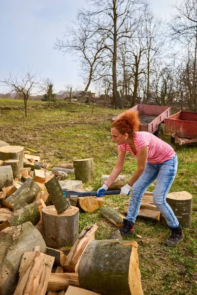 Güçlü kadın yakacak odun için kayın kütüklerini kırıyor.