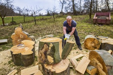 Kayın kütüklerini baltayla parçalayan güçlü bir adam.