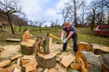 Kayın kütüklerini baltayla parçalayan güçlü bir adam.