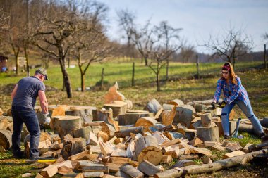 Bir adam ve bir kadın kayın ağacını kırıyor..