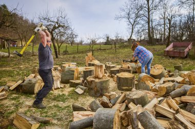 Bir adam ve bir kadın kayın ağacını kırıyor..