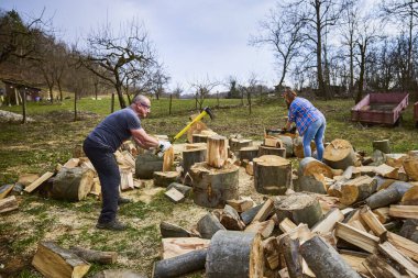 Bir adam ve bir kadın kayın ağacını kırıyor..