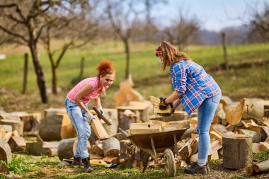 Kış için yakacak odun toplamak için birlikte çalışan iki kadın.