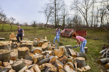 Kış için yakacak odun toplamak için birlikte çalışan bir aile.