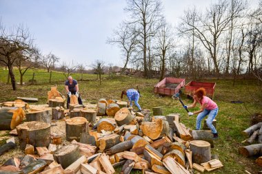 Kış için yakacak odun toplamak için birlikte çalışan bir aile.