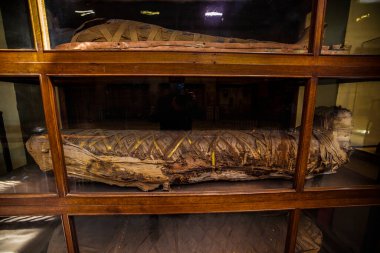 Kahire Mısır - 13 Nisan 2021. Mısır Müzesi, çeşitli sergiler.