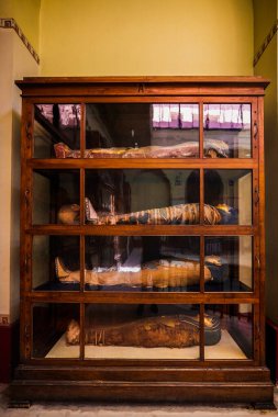 Kahire Mısır - 13 Nisan 2021. Mısır Müzesi, çeşitli sergiler.