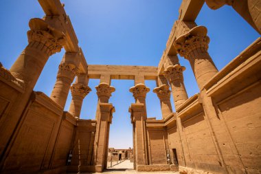 Edfu, ASWAN, EGYPT - 24 Nisan 2021: Isis Gölü, Nasser Gölü 'nde Isis Tapınağı, Isis, Horus ve firavunun basları.