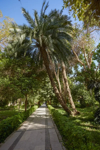 Varietà Piante Dell Orto Botanico Assuan Egitto — Foto Stock