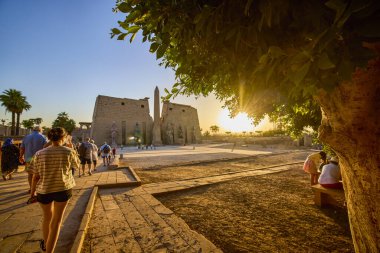 16-Apr-2021 Eski Luxor Tapınağı, Mısır