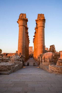 16-Apr-2021 Eski Luxor Tapınağı, Mısır