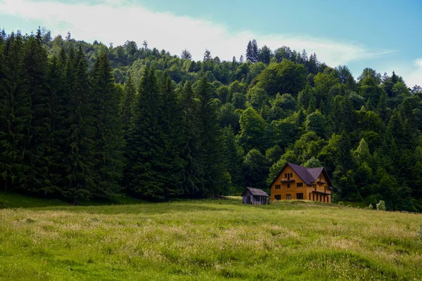 Красивый Пейзаж Сельской Горной Местностью Рукаре Румыния — стоковое фото