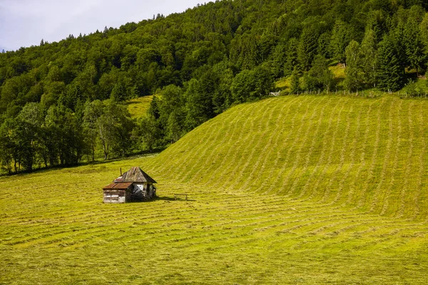 Schöne Landschaft Mit Ländlicher Berglandschaft Rucar Rumänien — Stockfoto