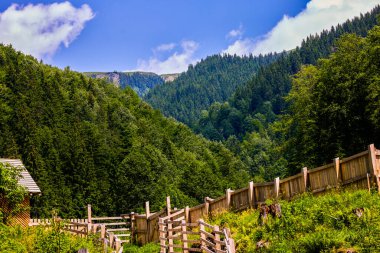 Yeşil ormanı ve nehri olan güzel bir dağ manzarası.