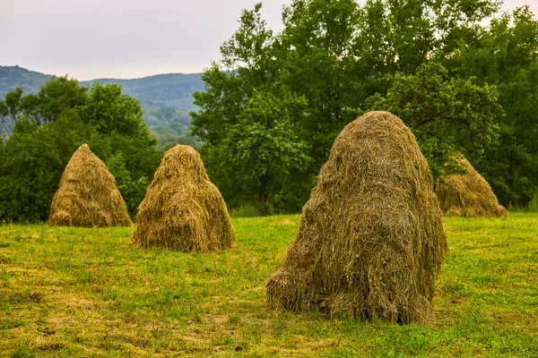 Paysage Rural Avec Meule Foin Printemps Roumanie — Photo