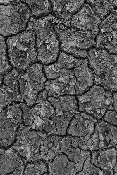 Background High Resolution Created Drought Land Black White — Stock Photo, Image