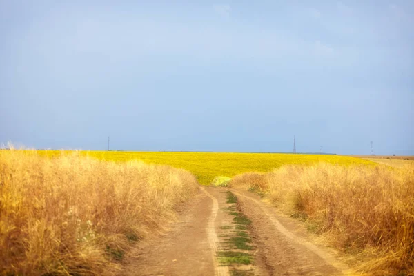 Paesaggio Con Campi Agricoli Una Giornata Estiva — Foto Stock