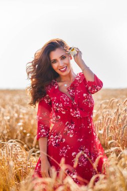 Güneşli bir yaz gününde, buğday tarlasında güzel bir kadın.