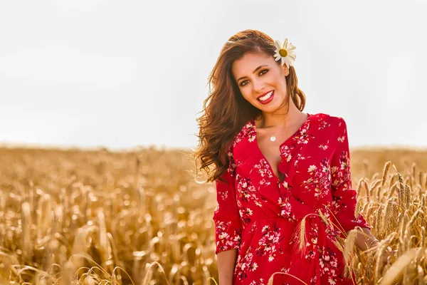 Красива Жінка Пшеничному Полі Сонячний Літній День — стокове фото