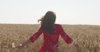  Genç kız mutlu bir şekilde tarlada yürüyor buğday kulaklarıyla dokunuyor.