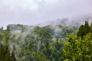 Romanya 'nın Karpat Dağları' ndaki dağlık bölgede güzel bir manzara