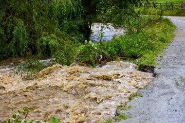 Romanya 'nın Karpat Dağları' ndaki dağlık bölgede güzel bir manzara