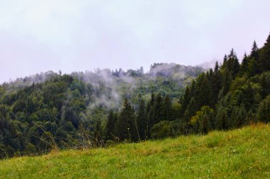 Romanya 'nın Karpat Dağları' ndaki dağlık bölgede güzel bir manzara