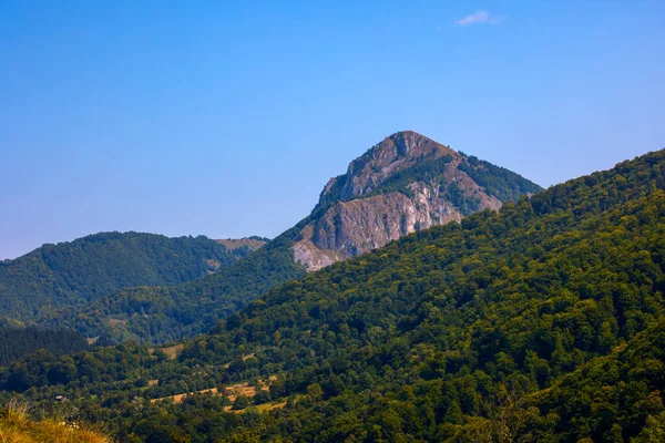 Hermoso Paisaje Zona Montaña Las Montañas Los Cárpatos Rumania —  Fotos de Stock