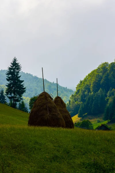Romanya Nın Karpat Dağları Ndaki Dağlık Bölgede Güzel Bir Manzara — Stok fotoğraf