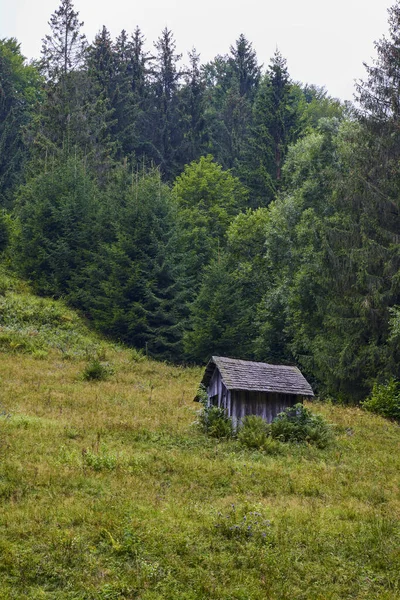 Schöne Landschaft Der Bergregion Den Karpaten Rumänien — Stockfoto