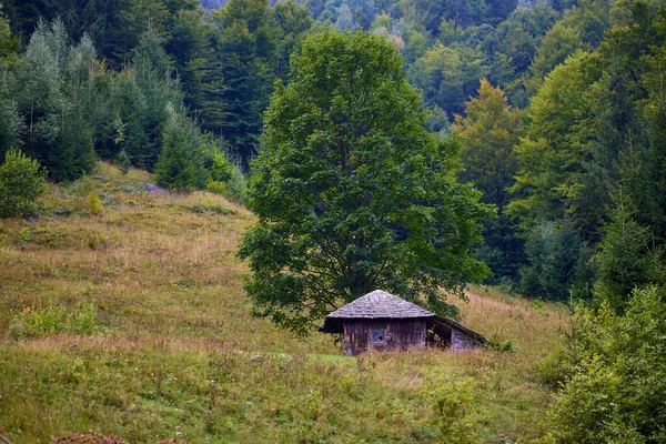 Bela Paisagem Área Montanha Nas Montanhas Dos Cárpatos Roménia — Fotografia de Stock