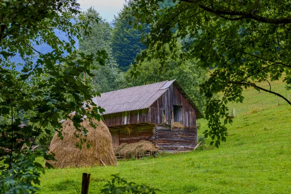 Bellissimo Paesaggio Nella Zona Montagna Nelle Montagne Dei Carpazi Romania — Foto Stock