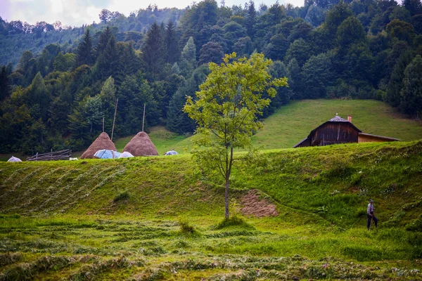 Schöne Landschaft Der Bergregion Den Karpaten Rumänien — Stockfoto