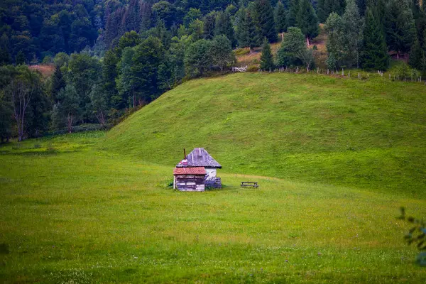 Bela Paisagem Área Montanha Nas Montanhas Dos Cárpatos Roménia — Fotografia de Stock
