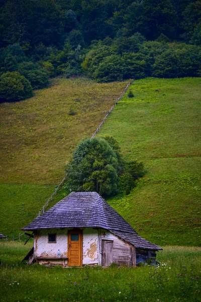 Hermoso Paisaje Zona Montaña Las Montañas Los Cárpatos Rumania — Foto de Stock