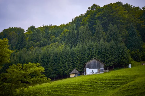 Bellissimo Paesaggio Nella Zona Montagna Nelle Montagne Dei Carpazi Romania — Foto Stock